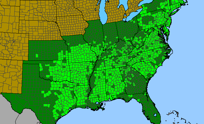 The range of Symphyotrichum patens